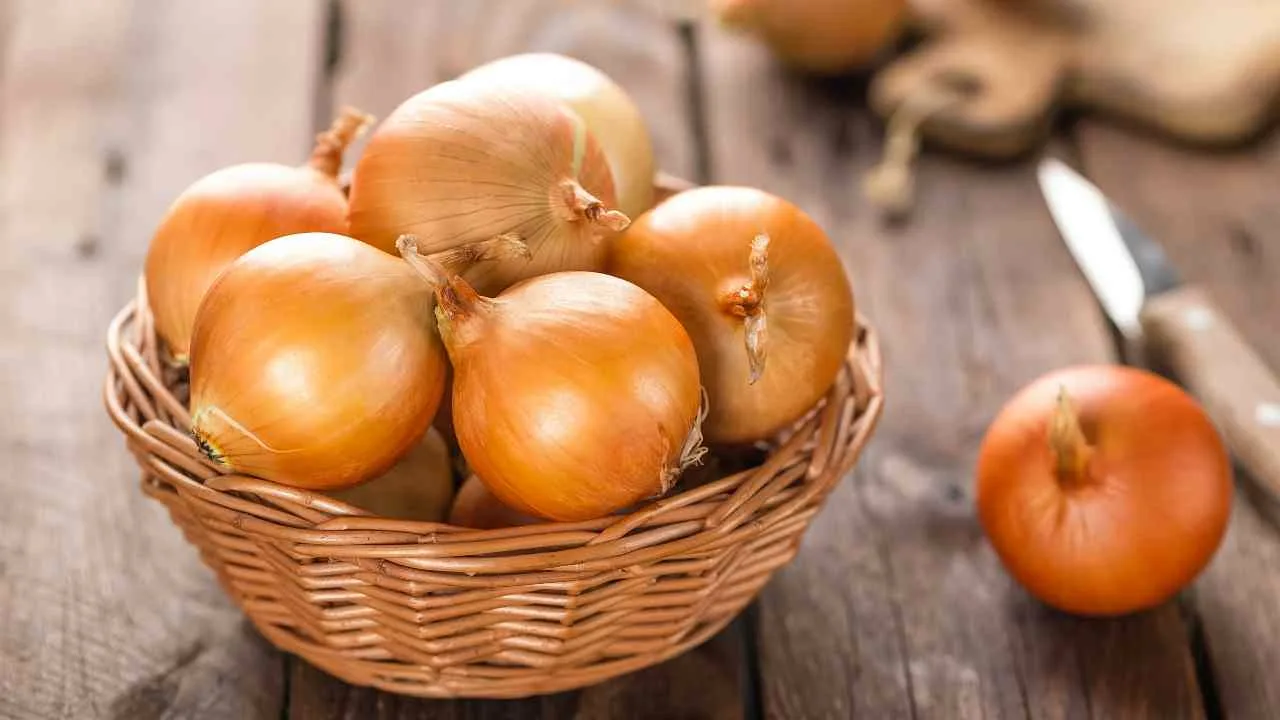 Sipulinkuoren säilyttäminen: miksi se on suositeltavaa ja mitä etuja siitä on.