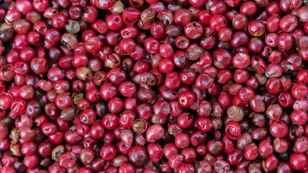 Nimestään huolimatta tämä ei ole lainkaan pippuria. Sen maku on kukkainen ja sitruksinen, ja sitä voi lisätä liharuokiin ja jälkiruokiin.