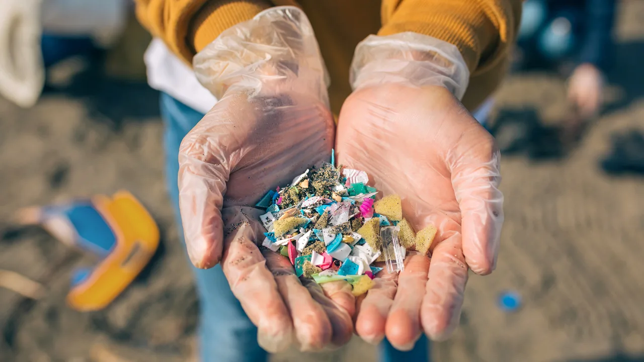 Sano hyvästit mikromuoville: tämä kalan muotoinen suodatin poistaa sen pesukoneesi vedestä.