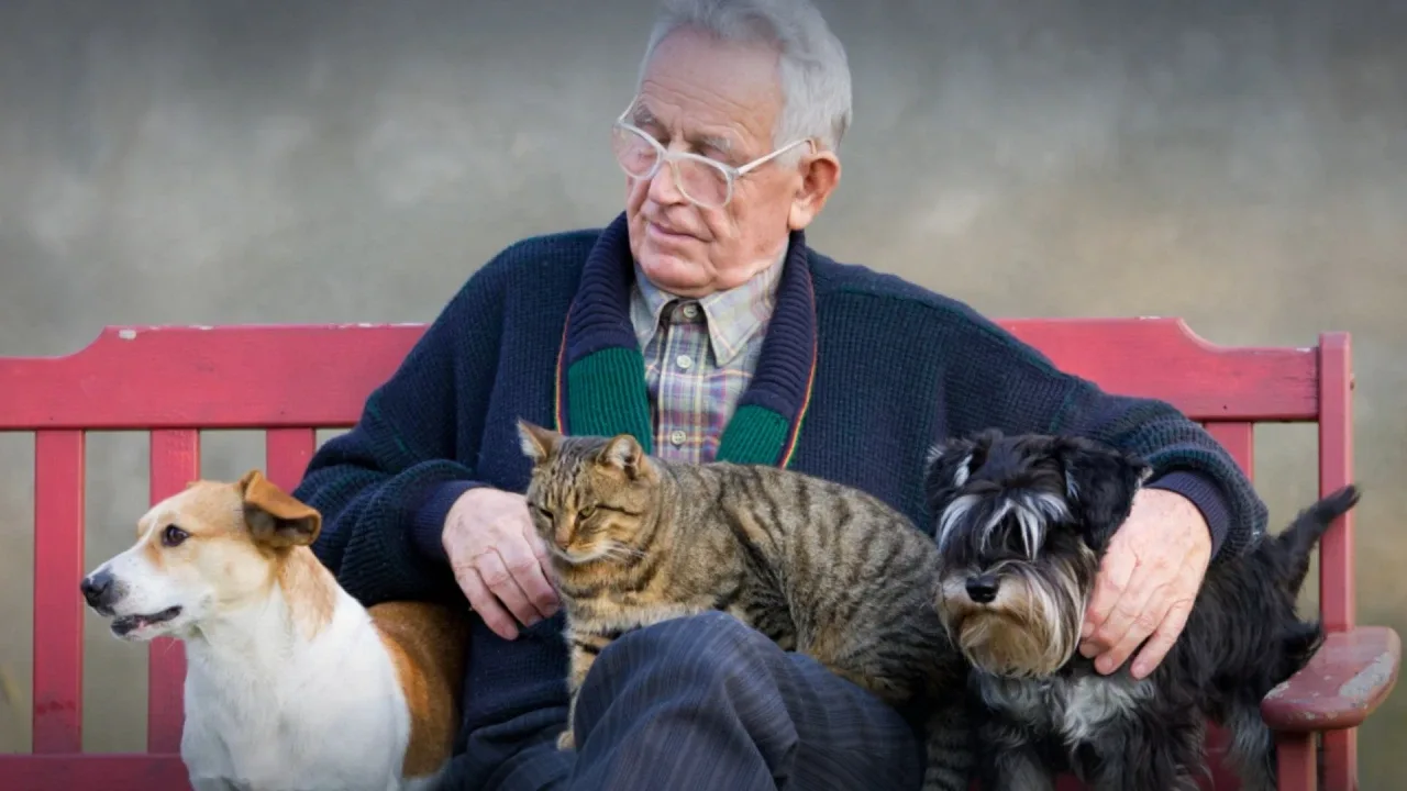 Psykologisesta näkökulmasta, mitä tarkoittaa puhua lemmikeille kuin he olisivat ihmisiä?