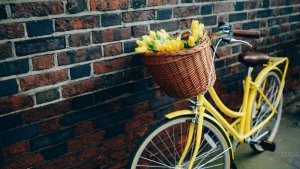 Jos sinulla on kotona vanha polkupyörä, sinulla on todellinen aarre: kaksi uutta tapaa käyttää sitä, jotka lisäävät sen arvoa.