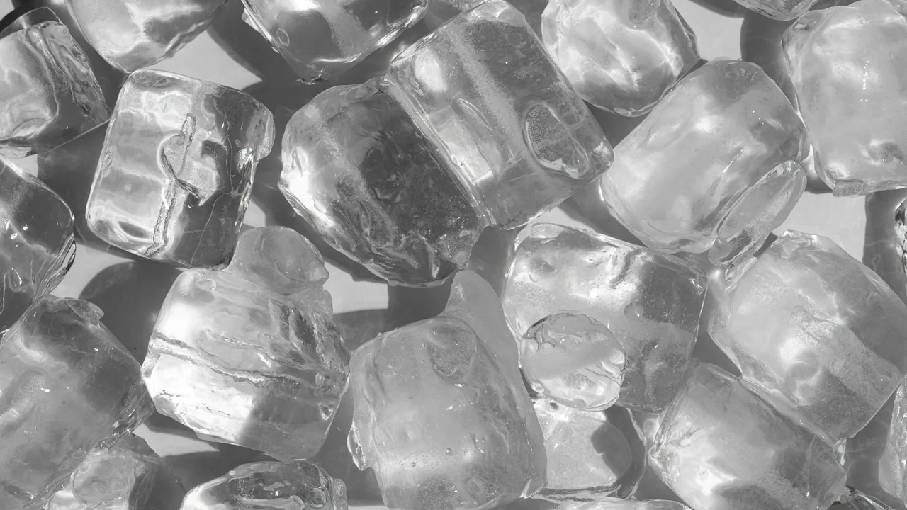 Kuinka laittaa jääpussi koiran makuupaikan viereen: miksi se on tarpeen ja kuinka se tehdään.