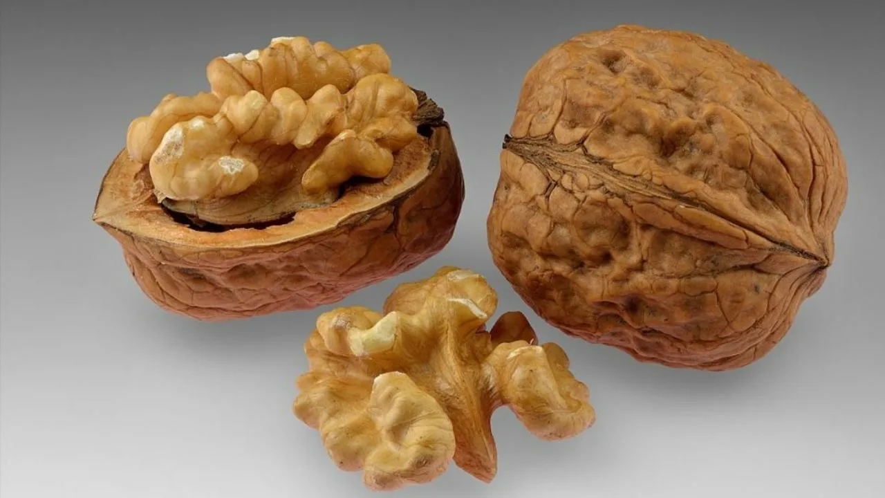 Kardiologi kertoo tämän pähkinän merkityksestä terveydelle: ”Se alentaa huonoa kolesterolia.”