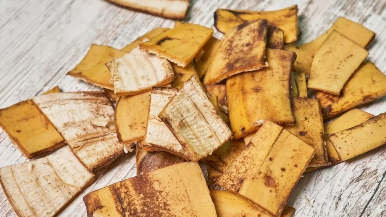 Banaaninkuoren ja veden sekoittaminen purkissa: miksi se on tarpeen ja miksi sitä suositellaan?