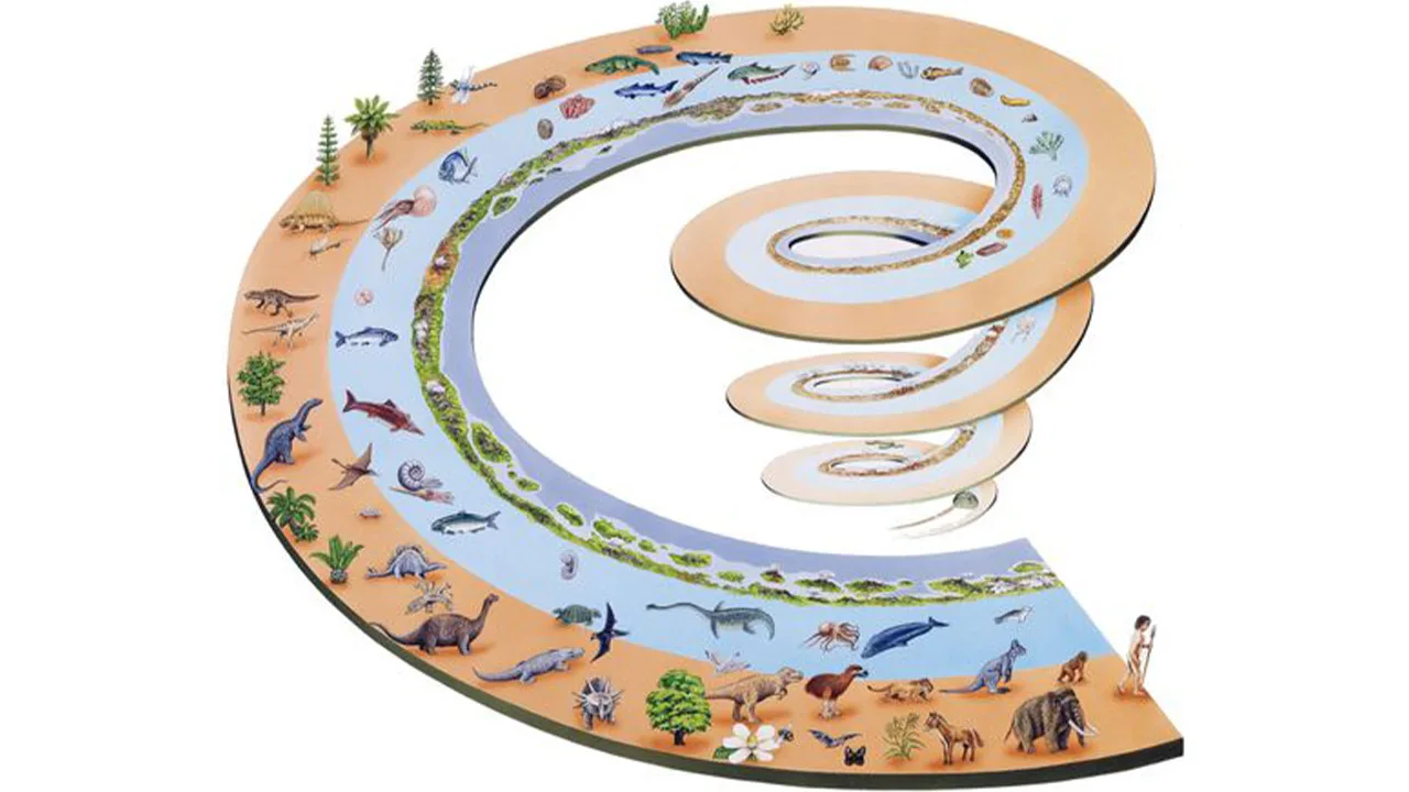 Darwin, meillä on ongelma: evoluution nopeus voi muuttua.