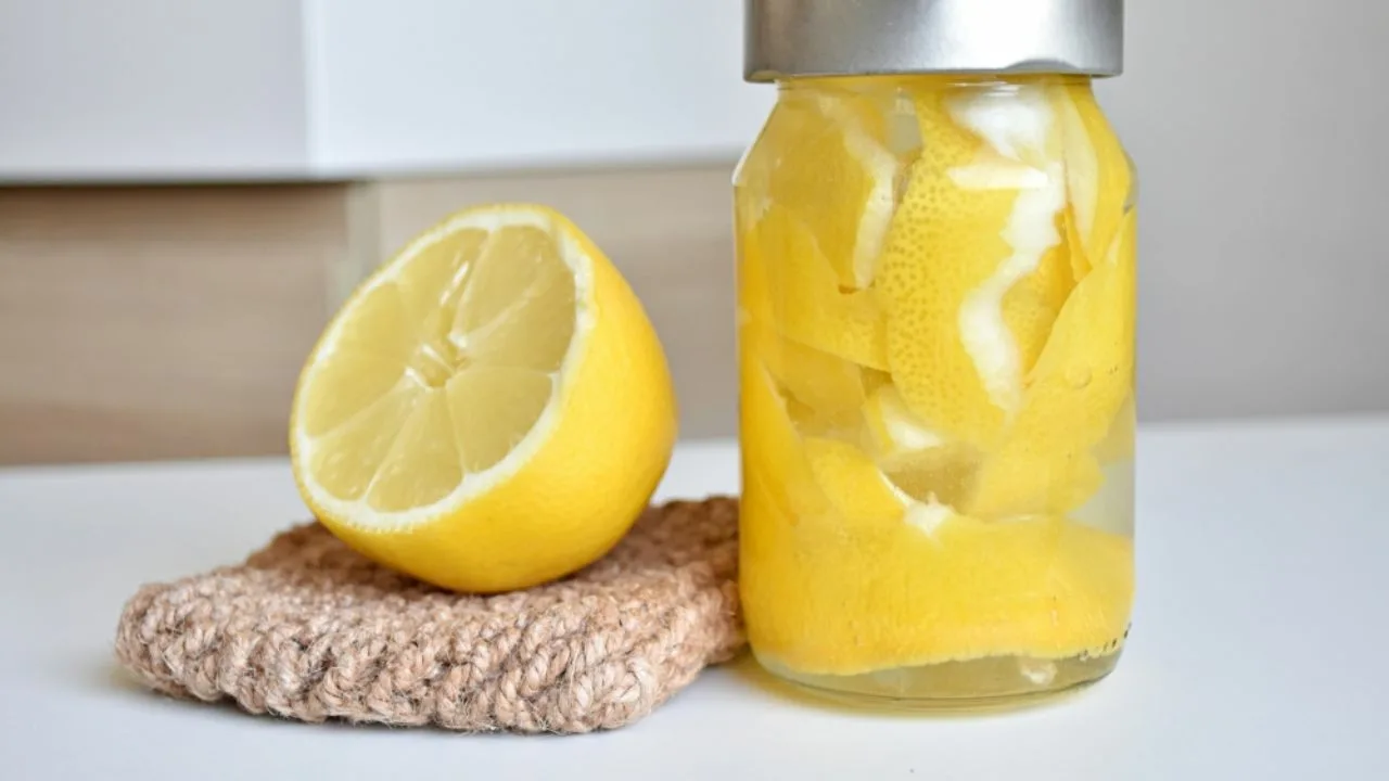 Kuinka säilyttää sitruunankuorta ja alkoholia sisältävä purkki jääkaapissa: miksi se on tarpeen ja milloin se tulisi tehdä.