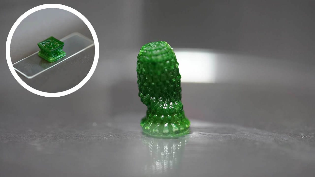 Tämä maa väittää luoneensa ”elävän” rakennusmateriaalin: se hengittää, kasvaa ja uusiutuu itsestään.