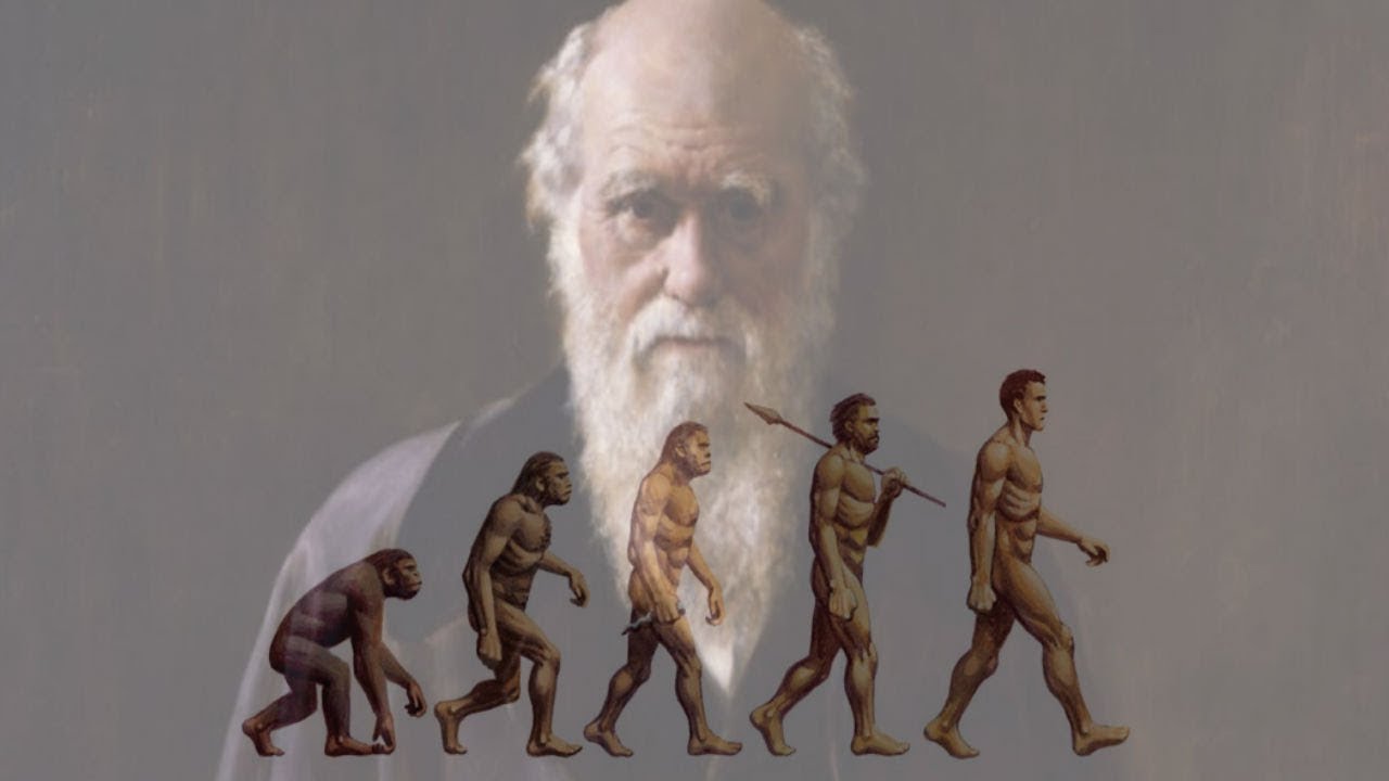 Darwin, meillä on ongelma: evoluution nopeus voi muuttua.