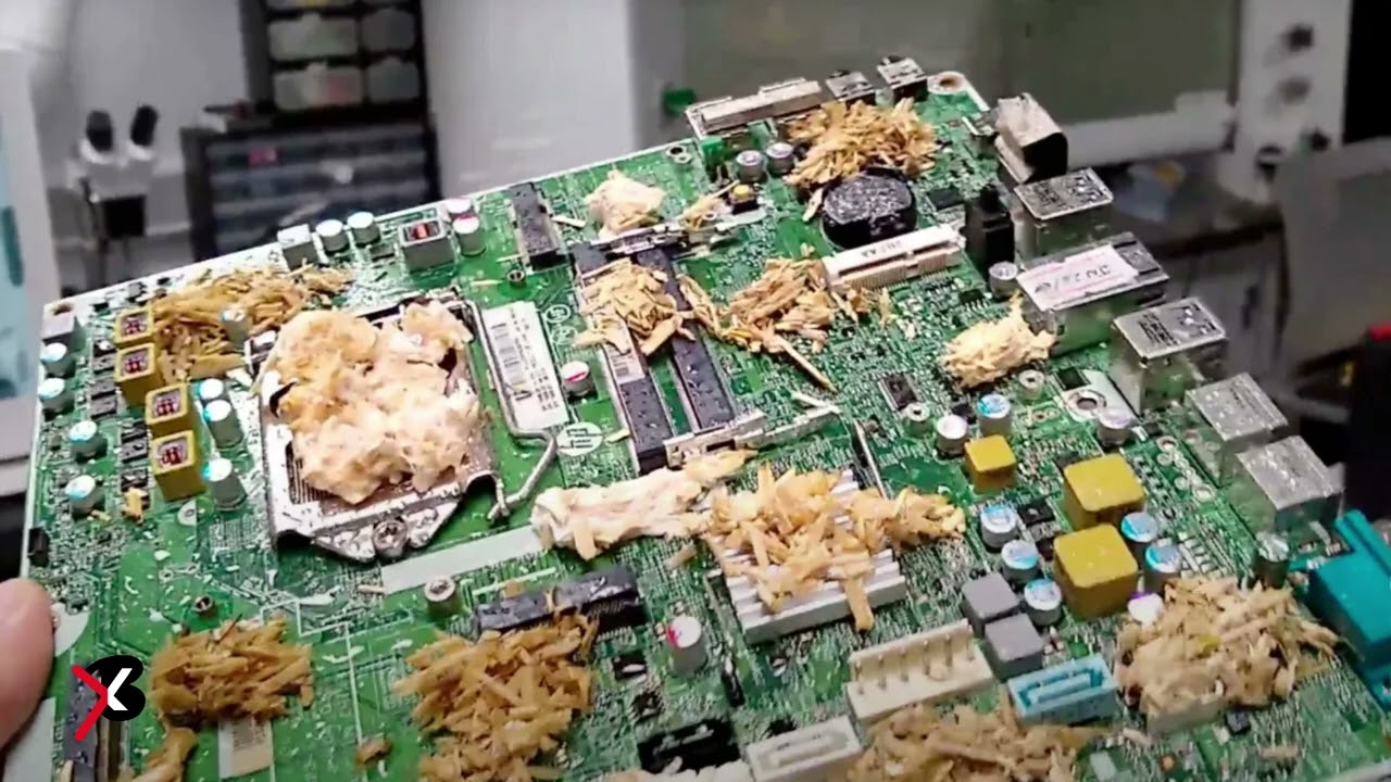 Tulevaisuuden tietokoneet ovat löytäneet yllättävän liittolaisen tietojen tallentamiseen: sienet.