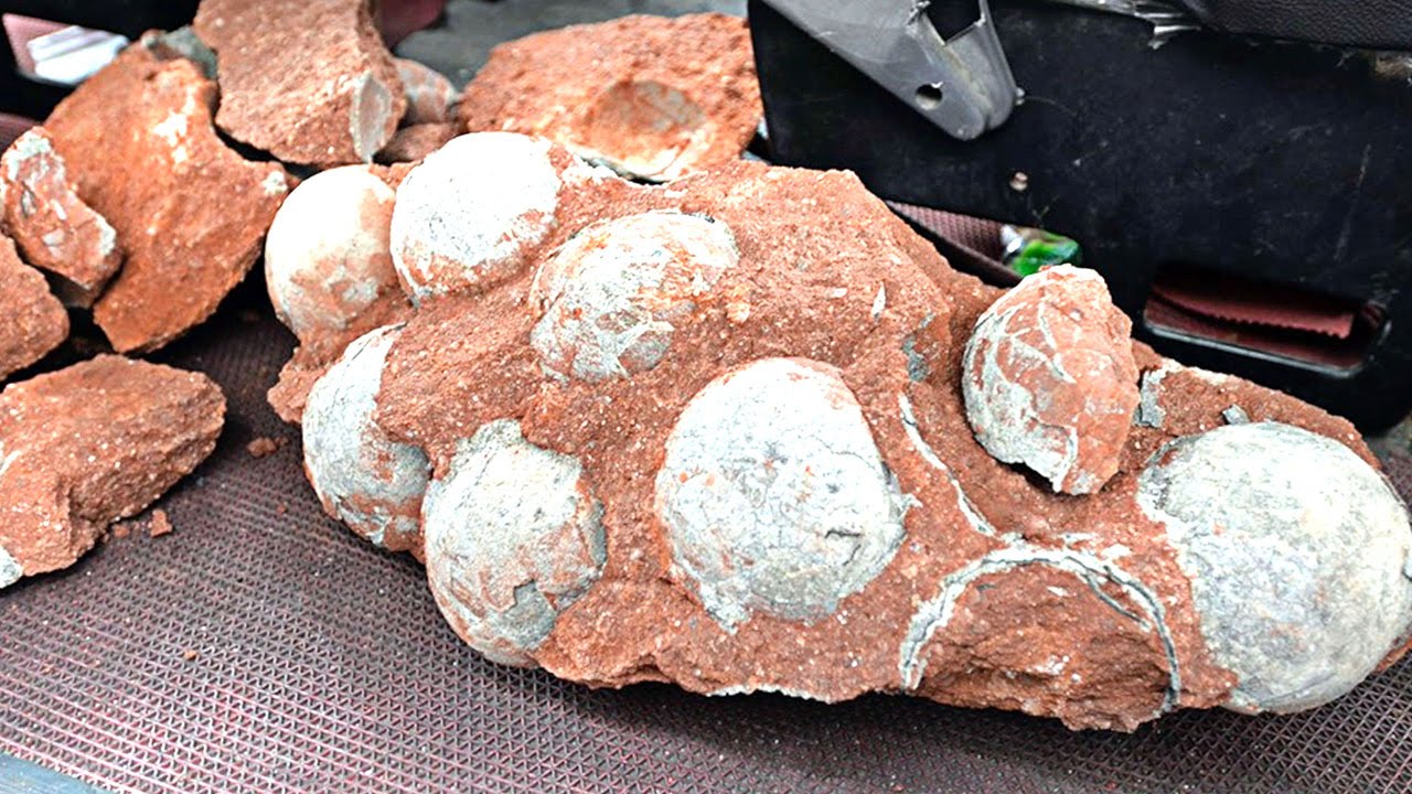 Tässä maassa on löydetty 72 miljoonaa vuotta vanhoja dinosaurusten munia.