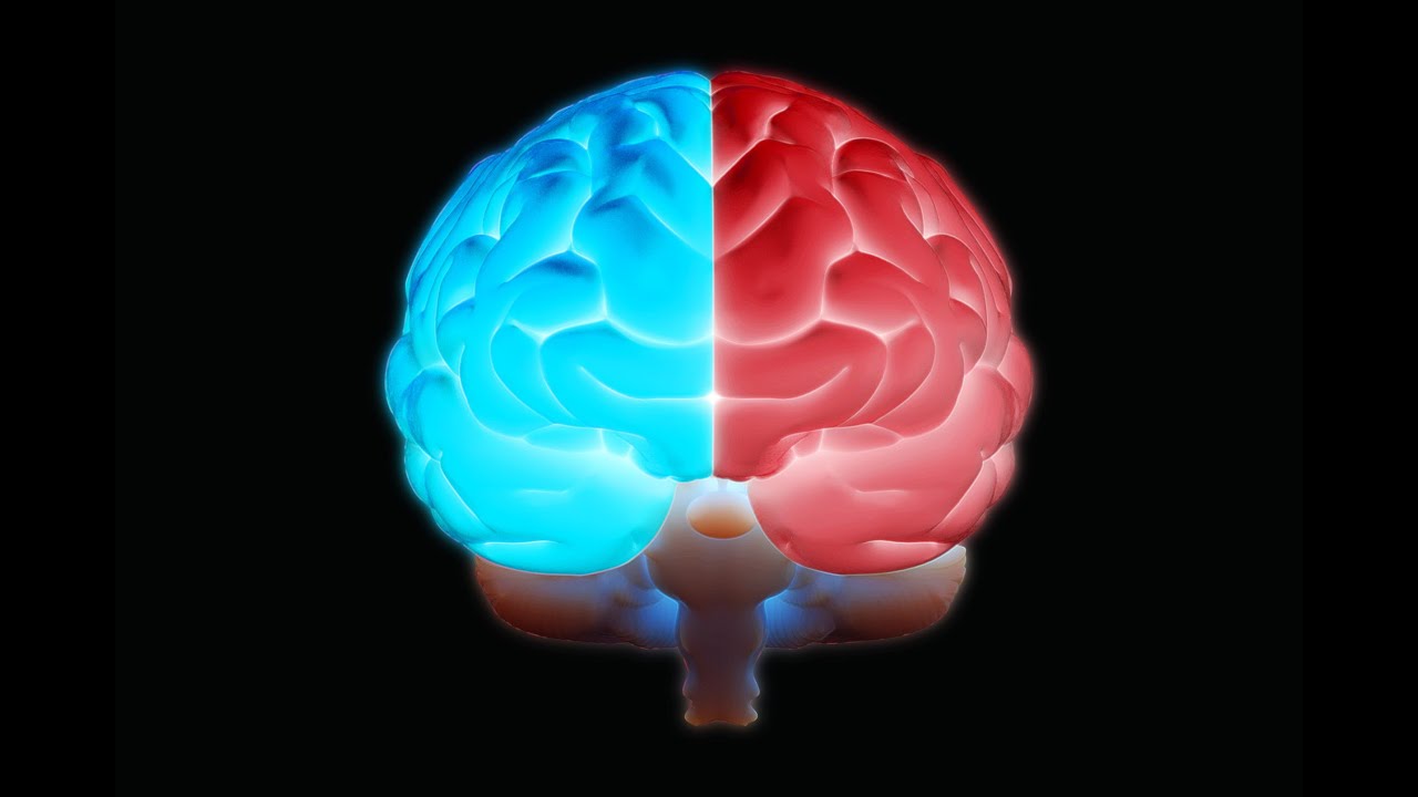 Tutkijat kehottavat meitä valmistautumaan tuleviin tapahtumiin: ”Kaksi aivojen aluetta toimivat yhdessä kuin tiimalasi”.