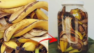 Banaaninkuoren ja veden sekoittaminen purkissa: miksi se on tarpeen ja miksi sitä suositellaan?