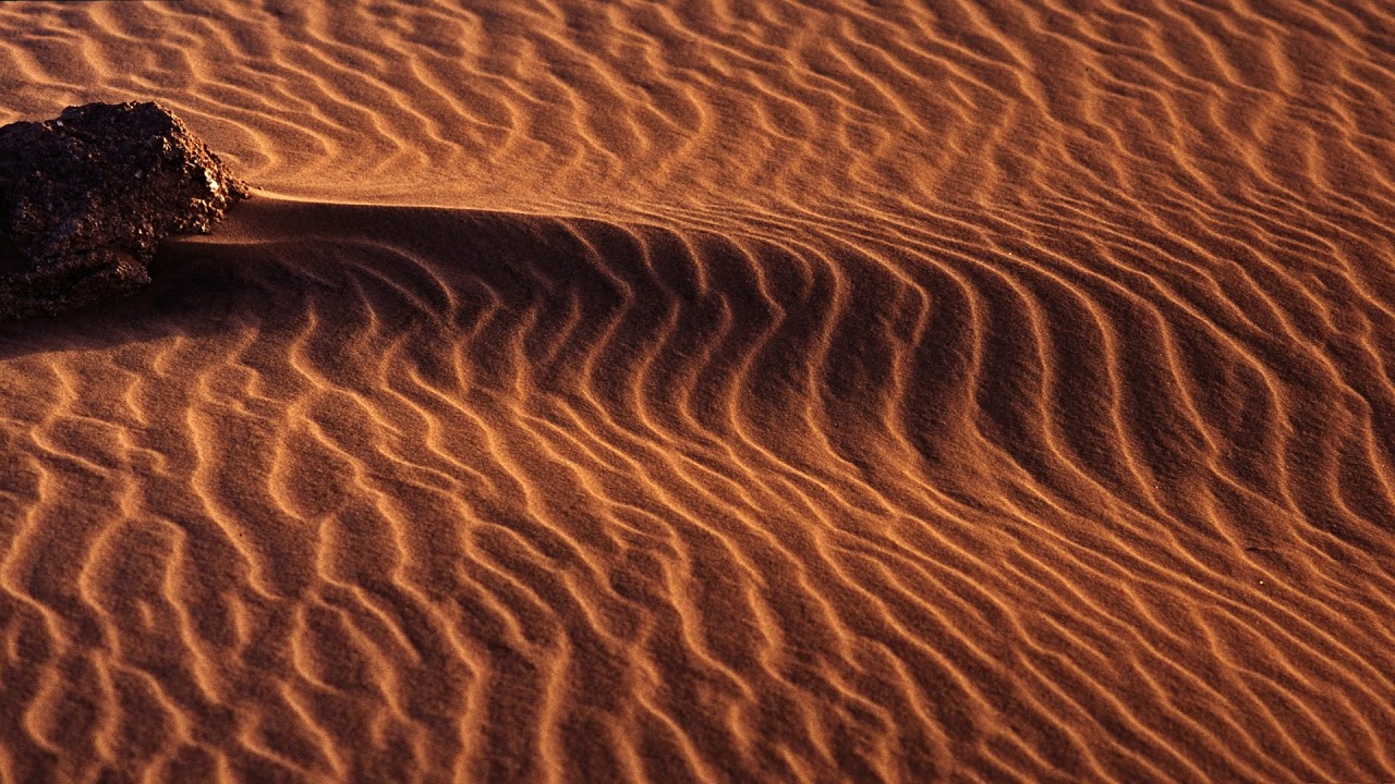 Saharan lämpötila nousi 70 °C:een, miljardeja puita kuoli, ja vain yksi menetelmä pystyi estämään elämän sukupuuttoon kuolemisen autiomaassa.