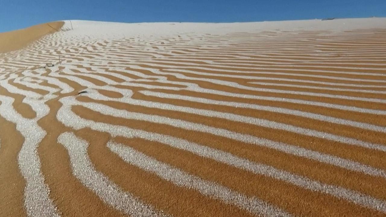 Saharan lämpötila nousi 70 °C:een, miljardeja puita kuoli, ja vain yksi menetelmä pystyi estämään elämän sukupuuttoon kuolemisen autiomaassa.