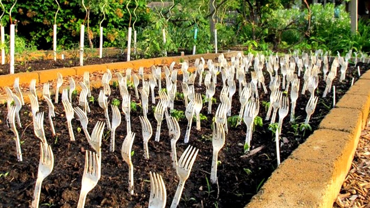 Mikä on muovihaarukoiden käyttötarkoitus puutarhassa ja miksi sitä suositellaan?