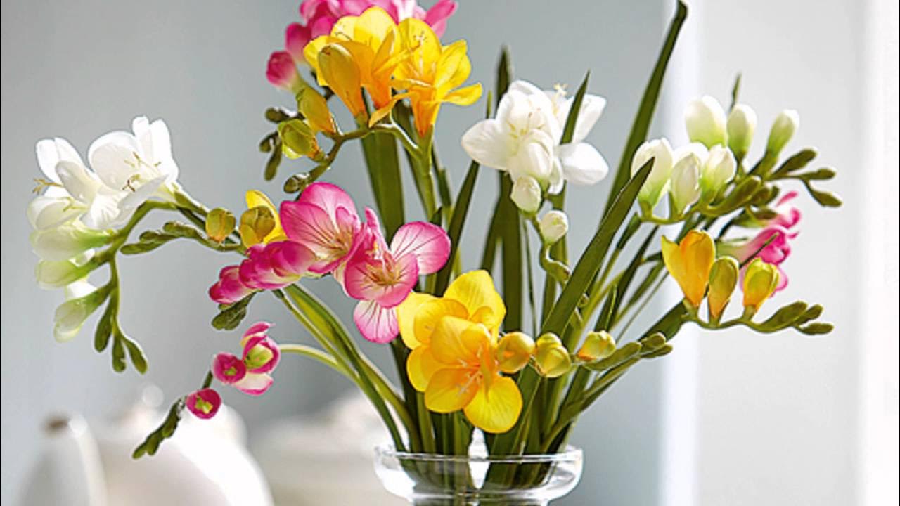 Kasvi, joka täyttää puutarhasi tuoksulla ja sopii erinomaisesti omien kukkakimppujen luomiseen.