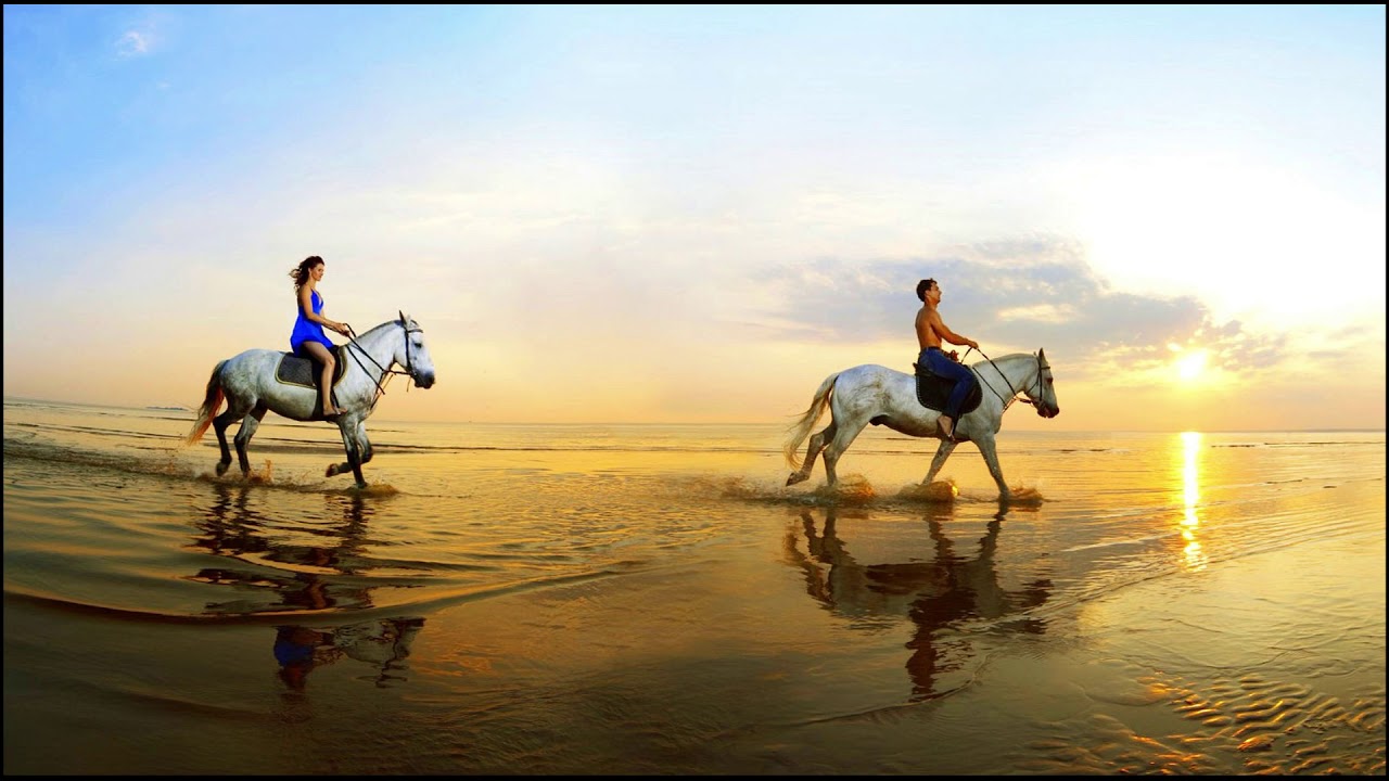 Miksi ei saa ratsastaa hevosella joen lähellä?