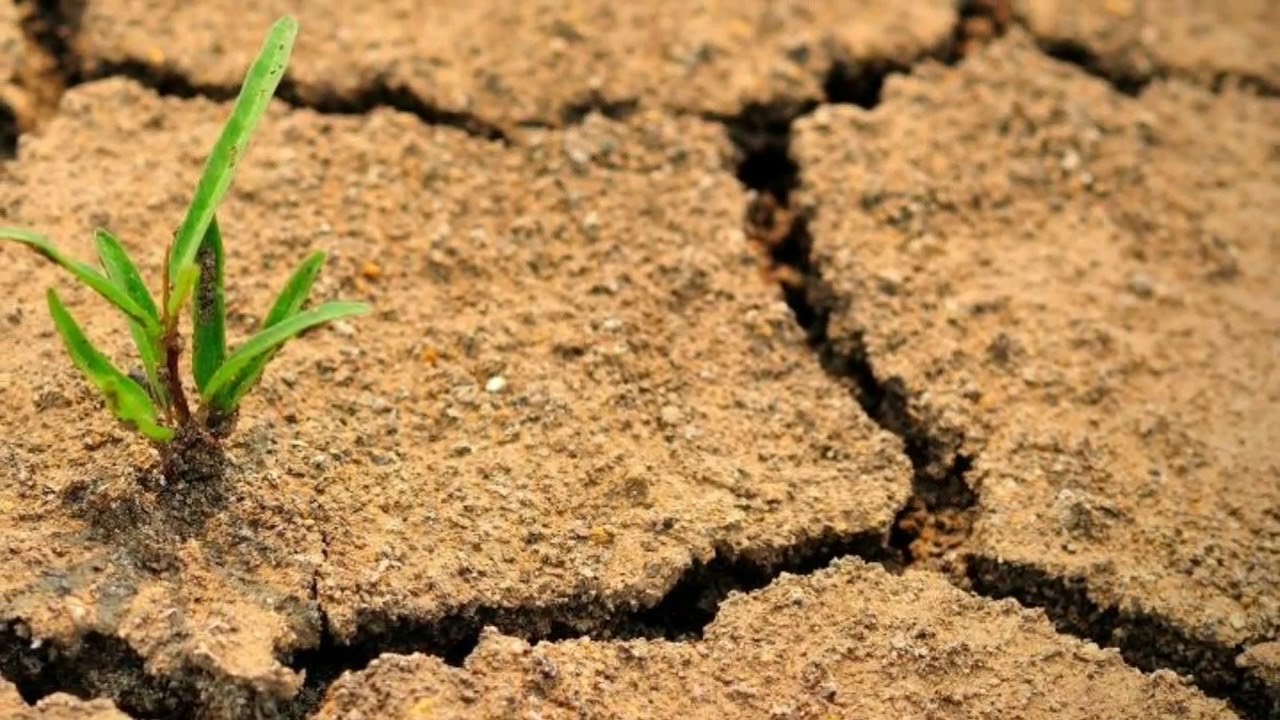 NASA on ilmoittanut, että maailmassa on paikkoja, jotka tulevat olemaan asuinkelvottomia 50 vuoden kuluttua.