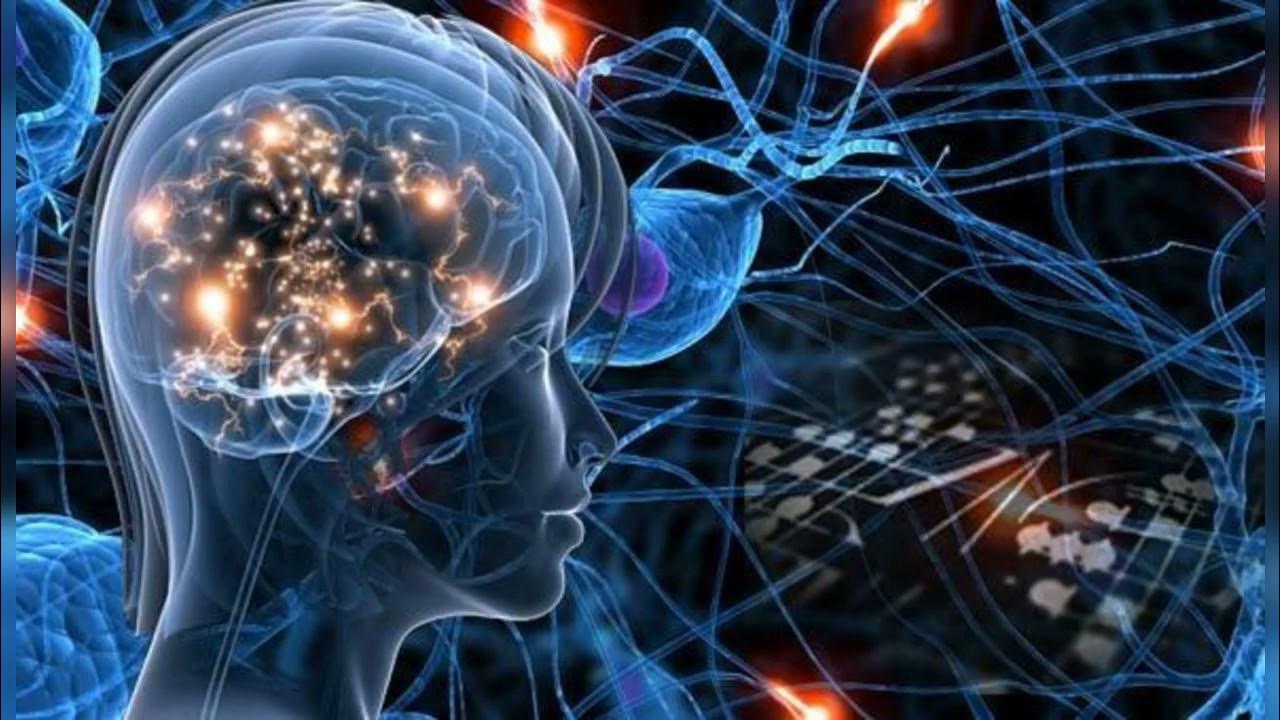 Kuinka luonnollinen valo vaikuttaa keskittymiskykyyn ja kognitiivisiin kykyihin