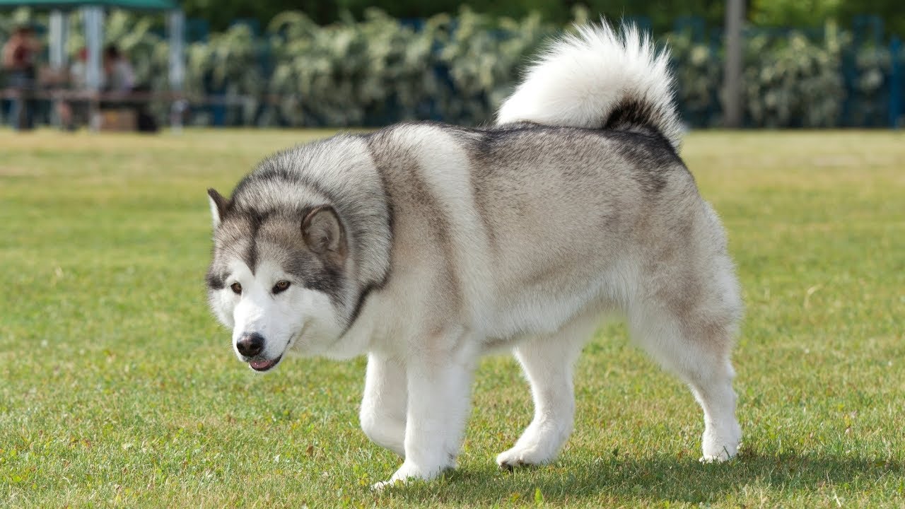 Se on Netflixissä, se on valtava hitti, ja se sopii täydellisesti katsottavaksi maratonina vuoden 2026 alussa.