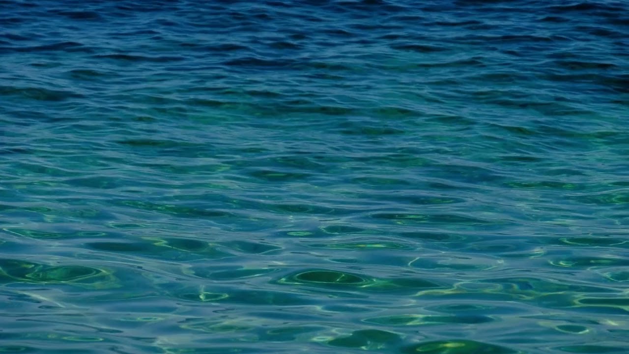 Maailman ainoa meri, joka ei huuhtele yhdenkään maan rantoja, on yksi suurimmista hapen lähteistä maapallolla.