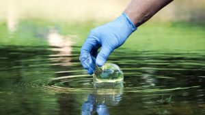 Missä tämän maan alueilla on kosteikkoja, jotka pidättävät mikromuovia ja suojelevat ekosysteemiä?