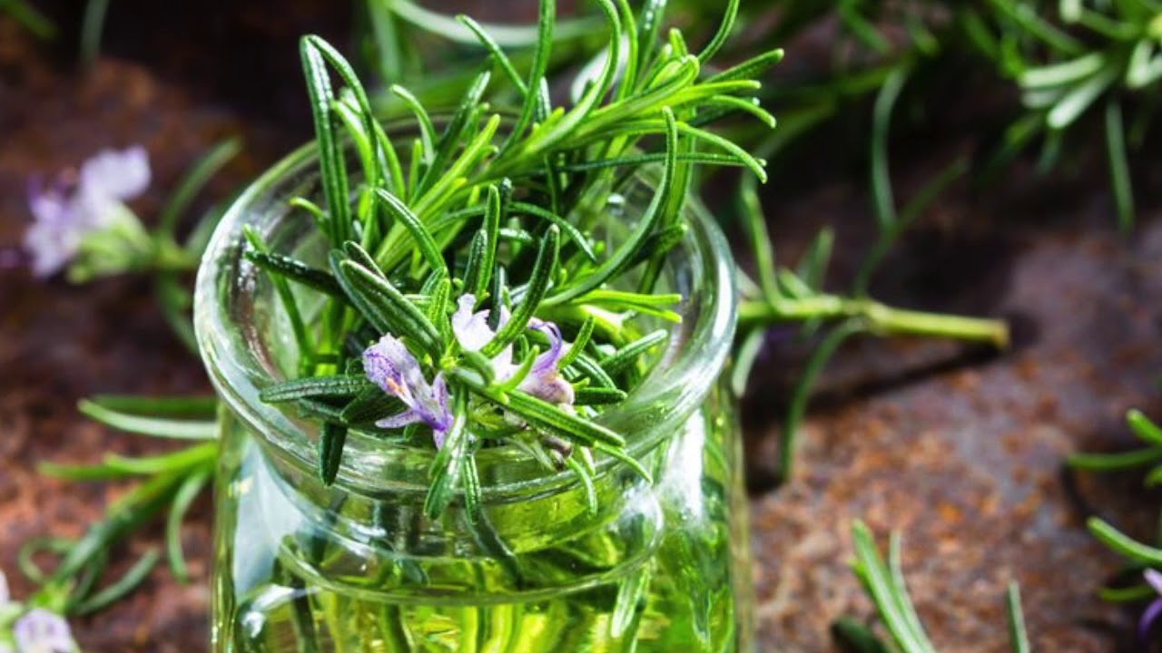 Mihin feng shui -oppien mukaan rosmariinimaljakko tulisi sijoittaa, jotta se toisi vaurautta?