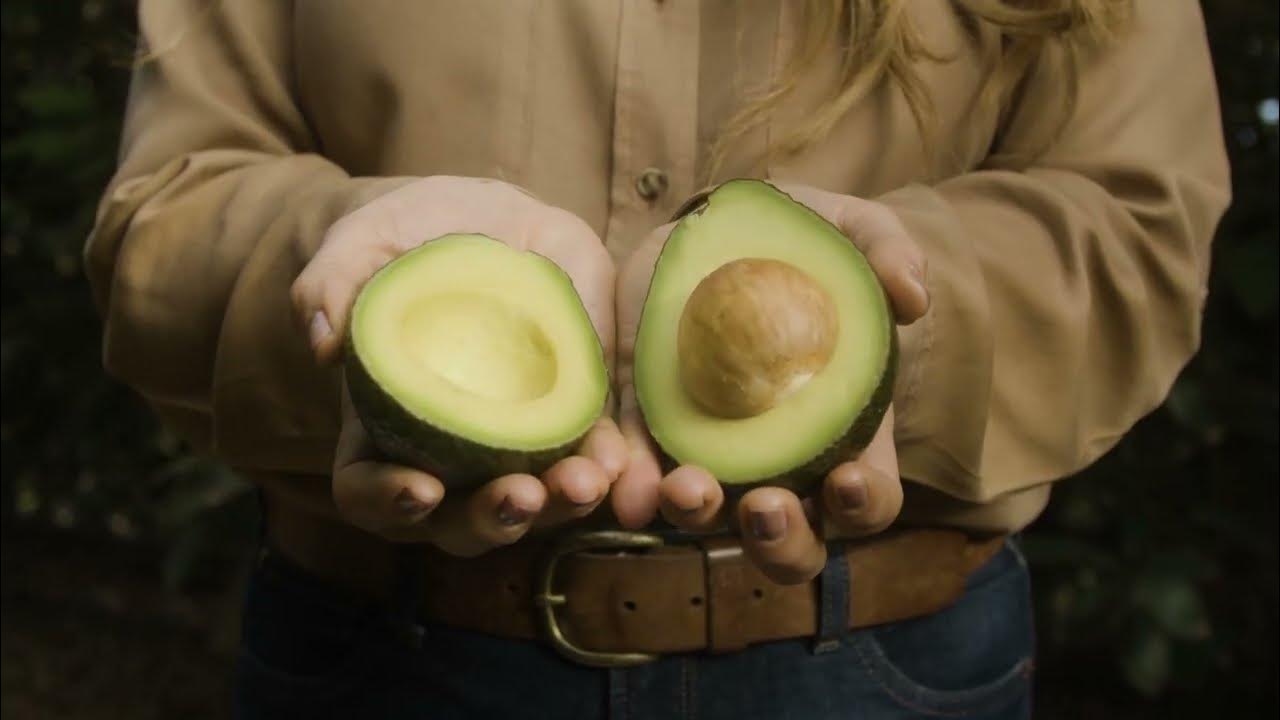 Kypsymättömät avokadot pehmenevät 3 minuutissa menettämättä makuaan. Mieheni käyttää ovelaa temppua, jossa käytetään kulhoa.