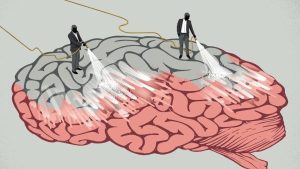 Aivot eivät unohda sattumalta: miten ne päättävät, mitkä muistot poistetaan