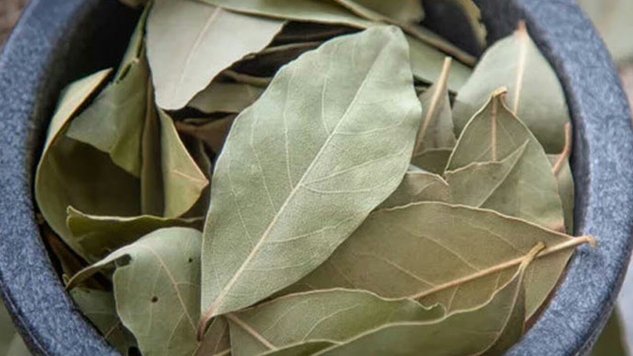 Laakerinlehtien ja ruokasoodan sekoittaminen: mihin se on hyödyllistä ja miksi sitä suositellaan.