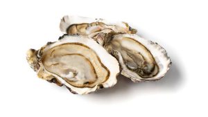 Se kuulostaa oudolta, mutta tiede vahvistaa: eläin, joka on muuttunut invasiivisesta lajista arvokkaaksi ja tuottavaksi resurssiksi.