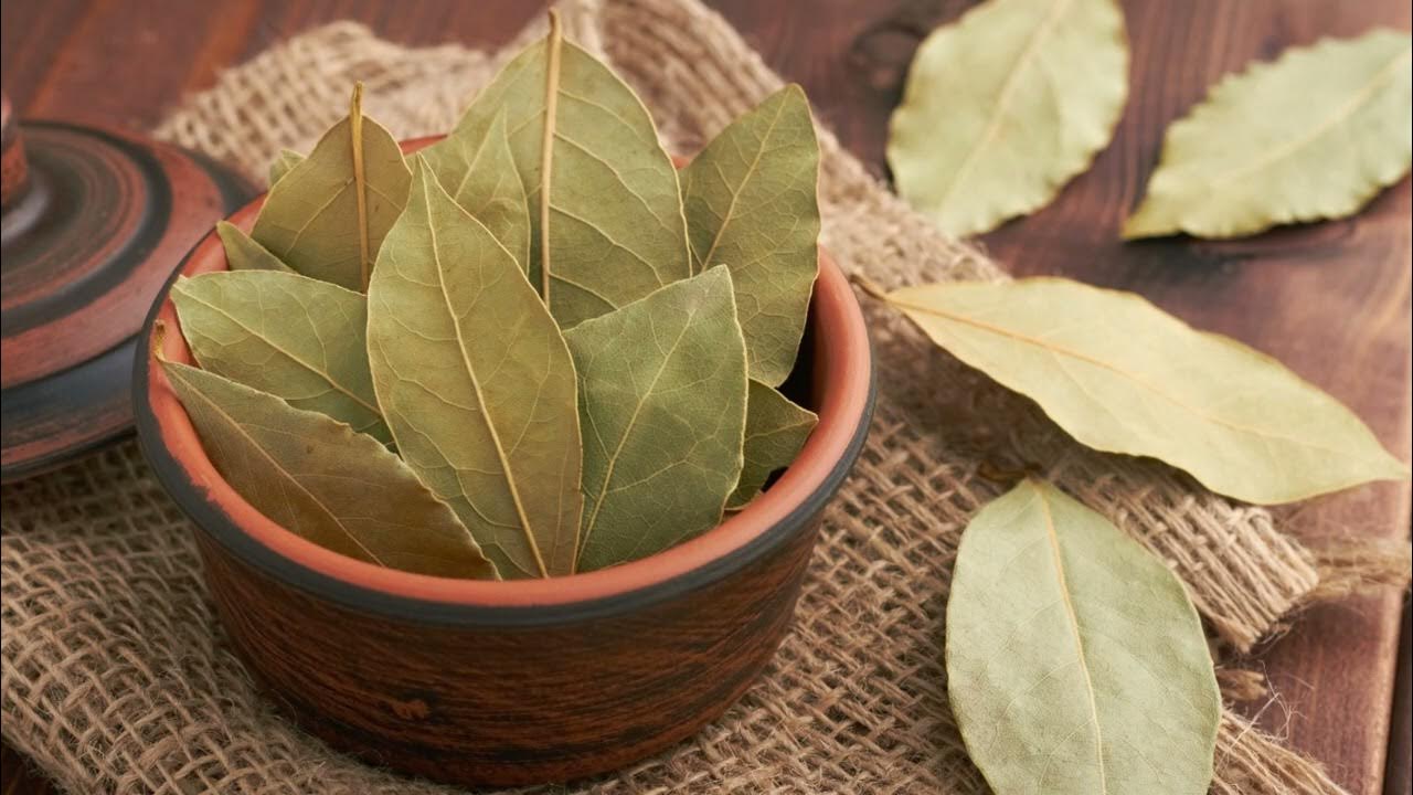 Mihin kotona voi sijoittaa laakerinlehtiä, jotta ne tuovat onnea ja karkottavat torakoita?