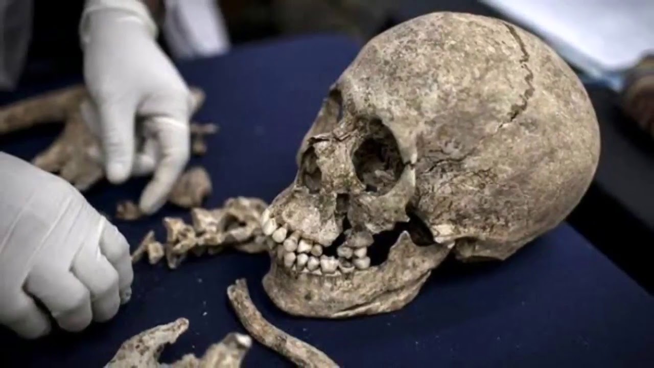 Ydinvoimalan alueella löydettiin ihmisen jäännöksiä: 1400 vuotta vanha ”korkean tason” hautausmaa.