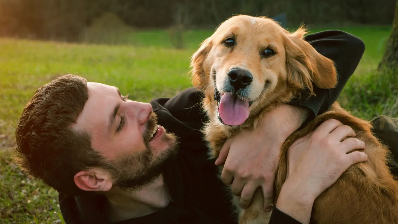 Nämä 7 merkkiä osoittavat, että koirasi luottaa sinuun ja kunnioittaa sinua.