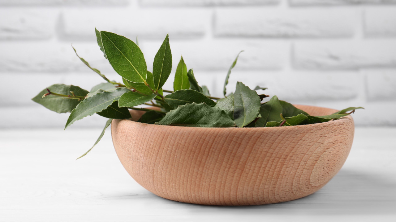 Mihin kotona voi sijoittaa laakerinlehtiä, jotta ne tuovat onnea ja karkottavat torakoita?