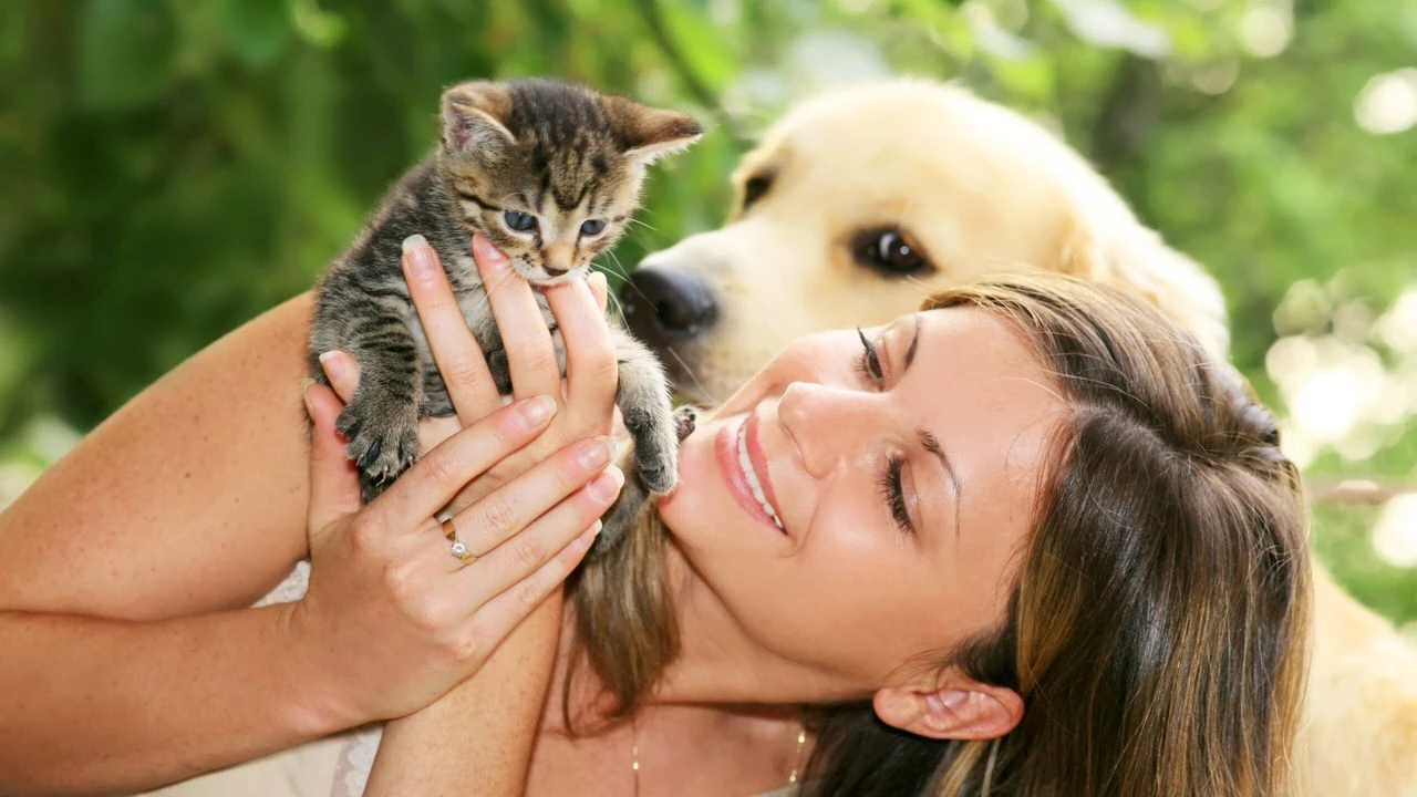 Mitä psykologisesti tarkoittaa se, että ihmiset puhuvat lemmikeilleen kuin ne olisivat ihmisiä?