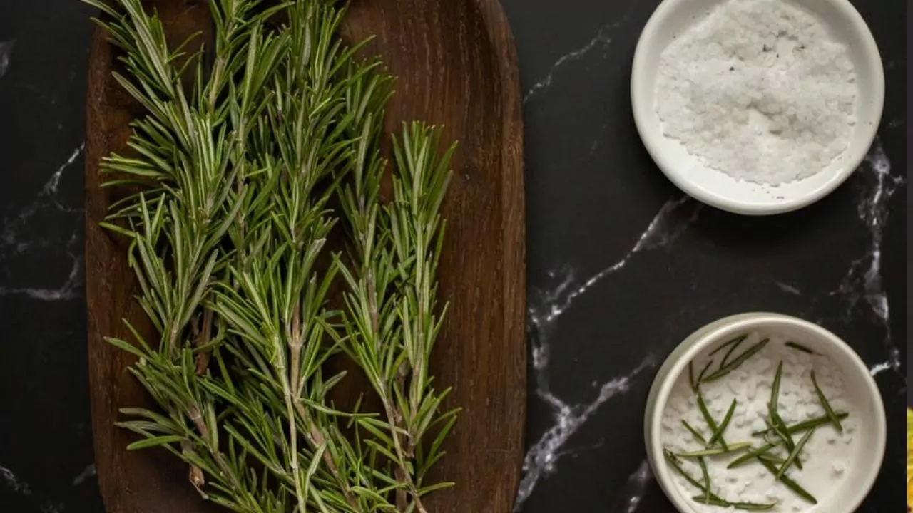 Se on muotia | Mitkä ovat rosmariinilla maustetun riisin säilyttämisen edut kotona, ja miksi kaikki suosittelevat sitä?