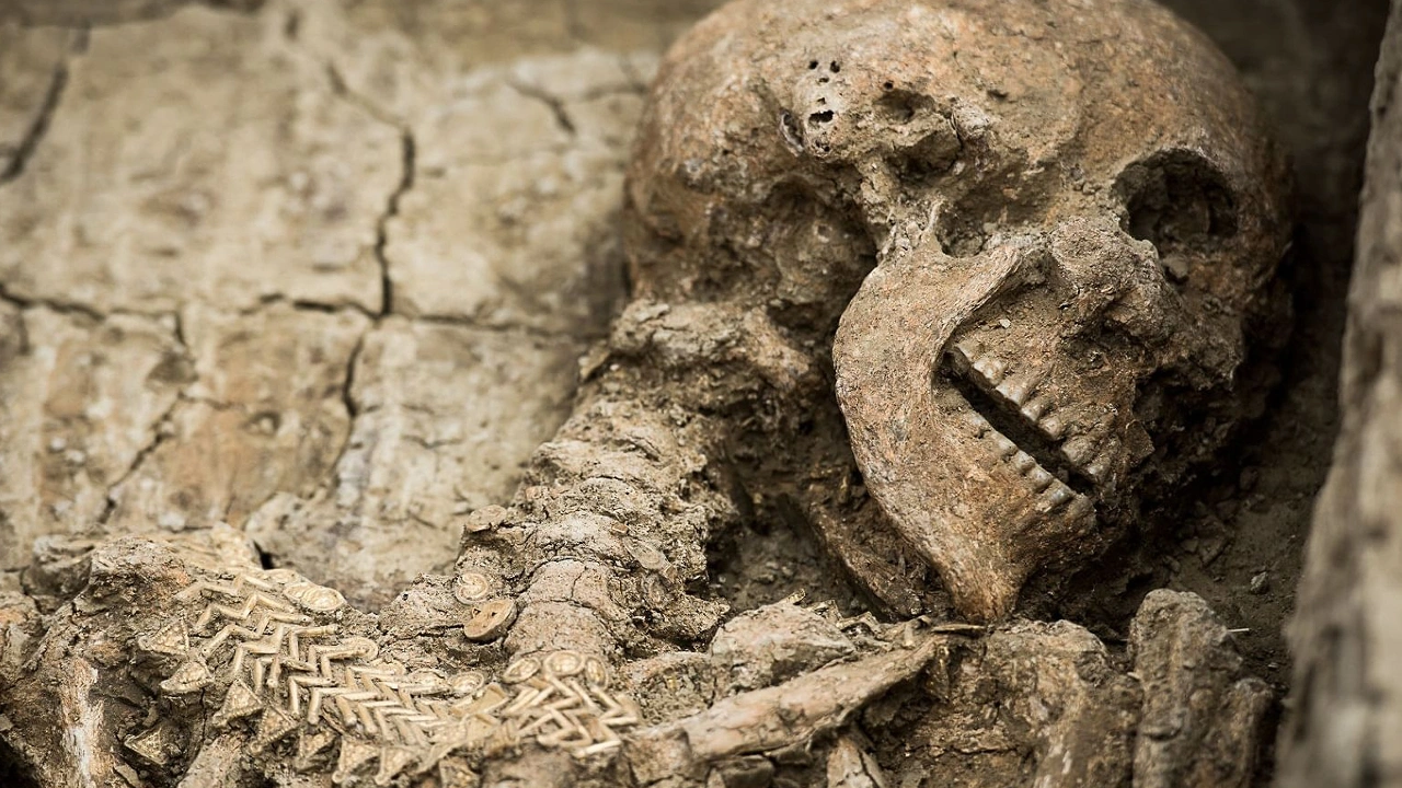 Ydinvoimalan alueella löydettiin ihmisen jäännöksiä: 1400 vuotta vanha ”korkean tason” hautausmaa.